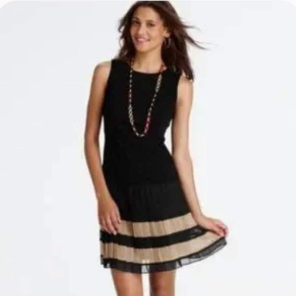 Drop Waist Pleated Dress